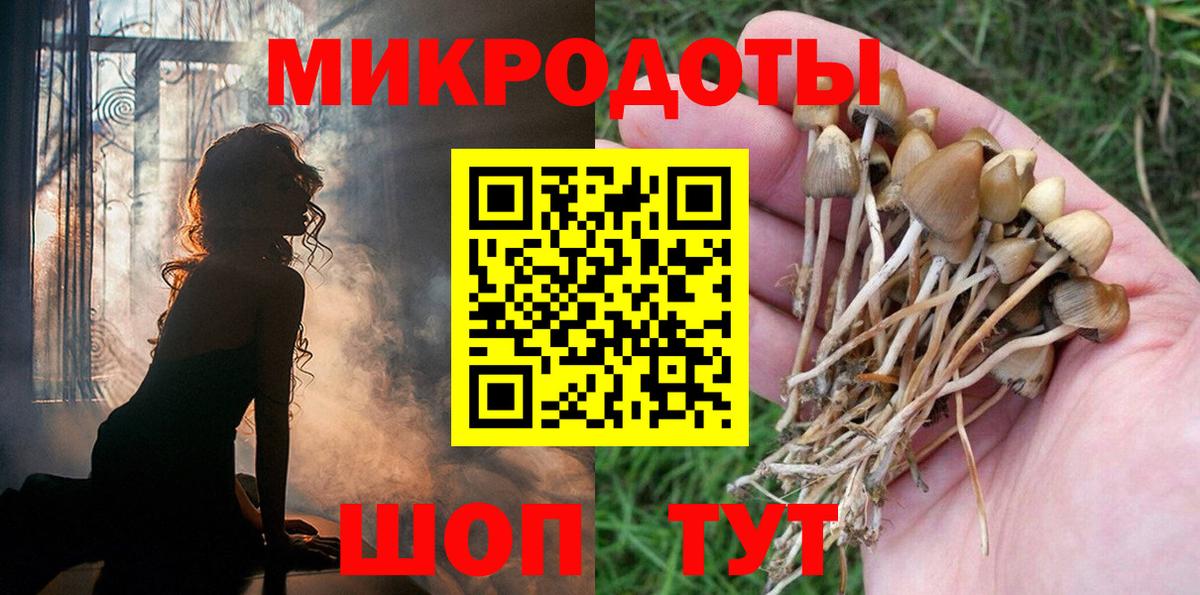 Севастополь  Псилоцибиновые грибы мухоморы  Галлюциногенные грибы прущие грибы  купить закладку  Вход с VPN 